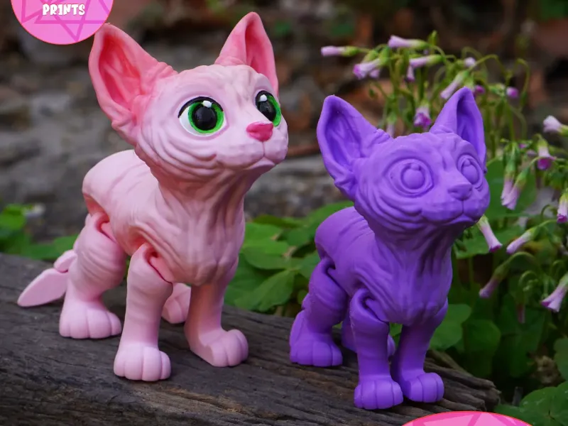PRINT IN PLACE CUTE SPHYNX CAT