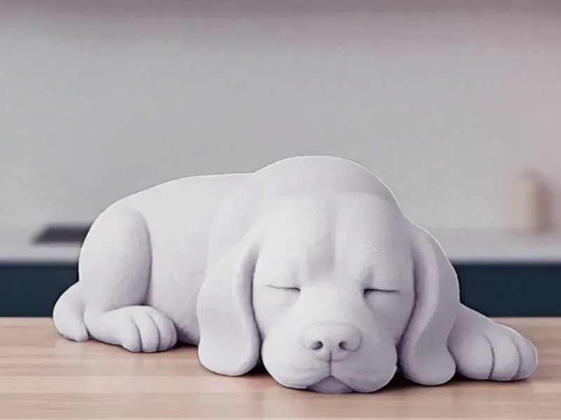 Dog resting