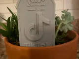 TikTok Gravestone-2