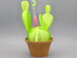 Kaktüs diş fırçası-0
