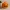 Cute Jack O Lantern