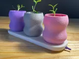 Mini Planter & Tray with plug-3