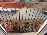 Small Pot Holder - soporte para tiestos pequeños-1