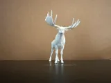 Moose-1