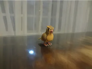 Pidgey Pokemon