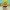 Horror SpongeBob – El Destripador de la Espumadera