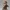 Golden Treasure Pirate Queen Figurine
