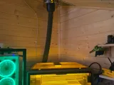 Falcon A1 to Exhaust Adapter-2