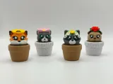 Cliquet de chaton en pot-1