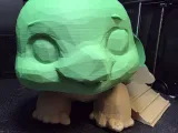 Tortoise Hide-3