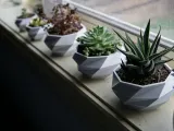 Futuristic flower pot-0