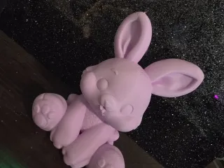 Pour Paint Rabbit