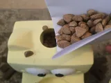 pet feeder-1