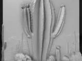 cactus plant-0
