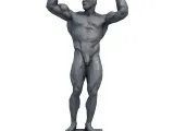 Bodybuilder Low Poly - 3D Model-3