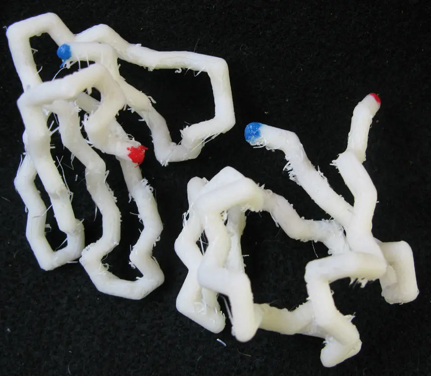 Protein Models