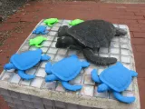 Garden Turtle-0
