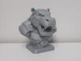 Bust Hroch-0