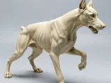 Doberman-0