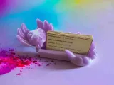 Axolotl Card Holder-1