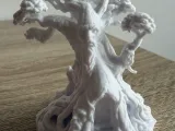 Ancient tree-1