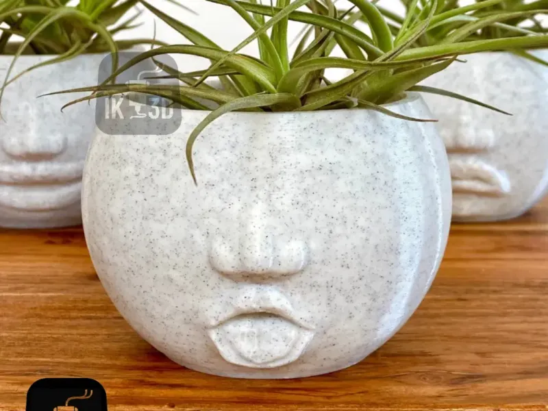 Funny Facial Expression Planters Set of 4 / Candle Holders