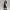 Crimson Sea Pirate Captain Figurine