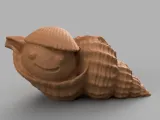 Whelk bulot shell coquillage-2