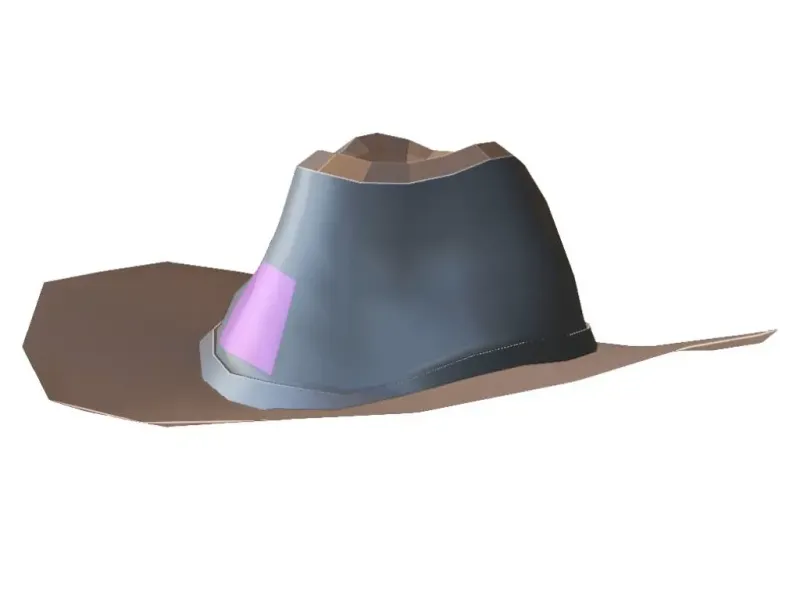 Cowboy Hat Western Style