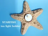 Starfish Tealight Holder-1