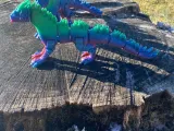Winter Dragon-0