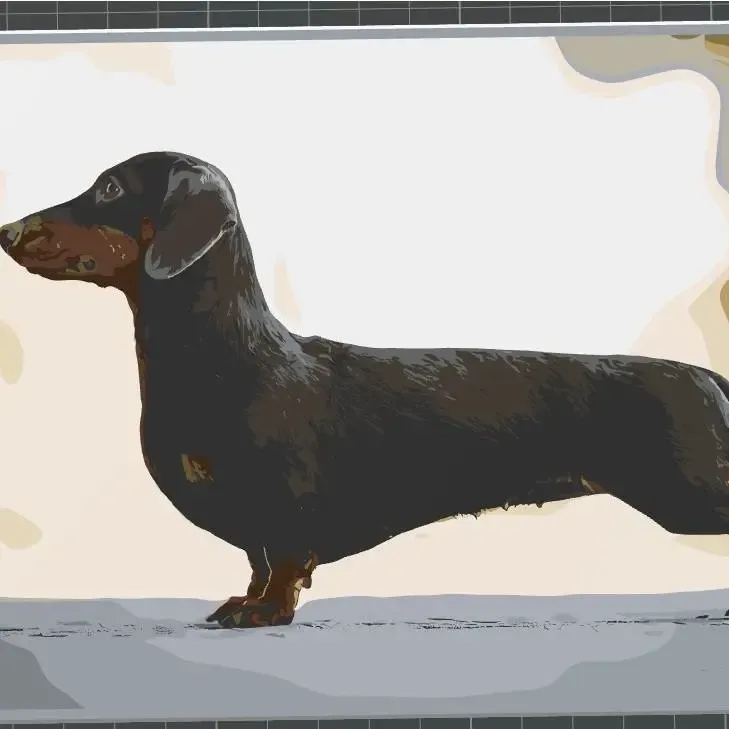 sausage dog