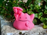 Valentine's Special - Ditto-4
