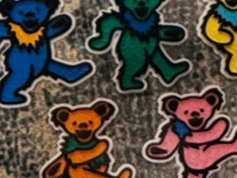 Ímãs dos Ursos do Grateful Dead