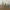 Bag Clip - 3 sizes