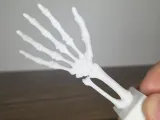 Skeleton Hand-2