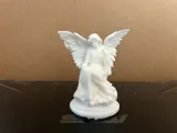 Angel 83-1