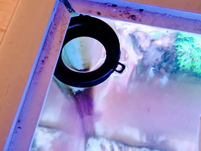 Simple floating Fish-feeder
