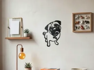 little dog