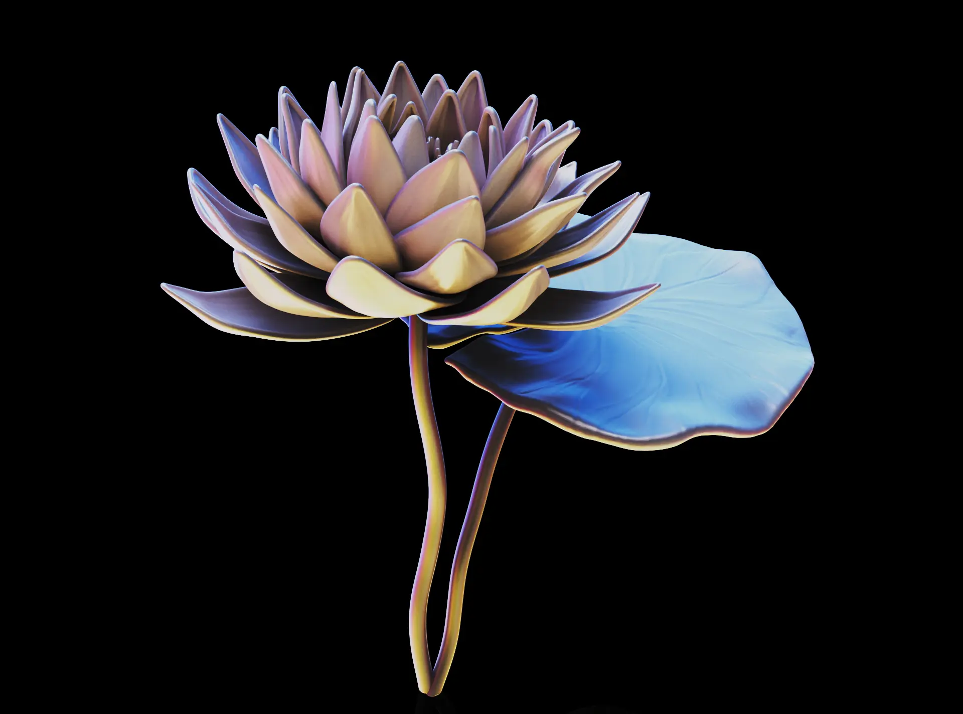 Lotus flower