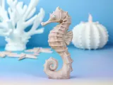 Caballo de mar-3