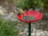 Flower Bird Feeder Set | Garden Stake Bee Bath - 3 Different-2