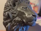 lion head-0