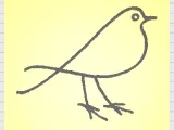 Bird 1-0