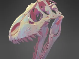 Dinosaur Skull