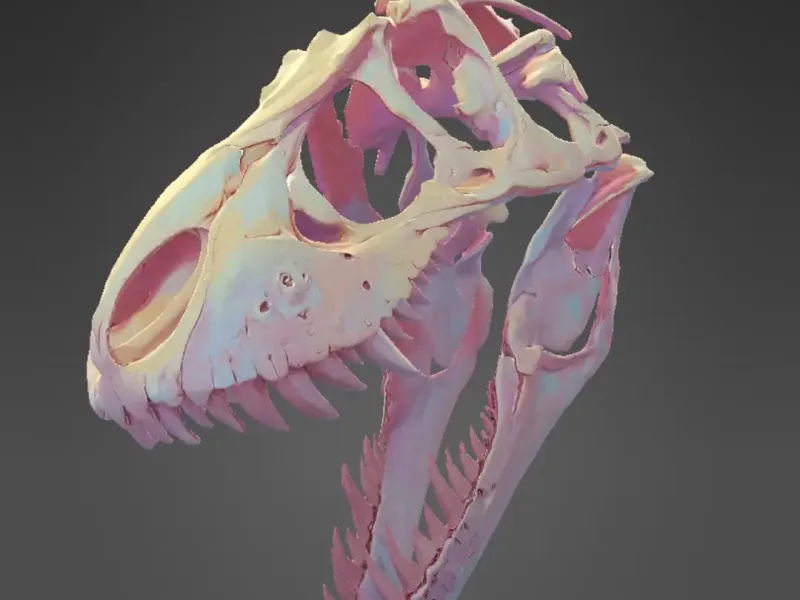 Dinosaur Skull