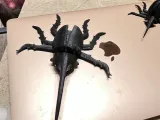 Beetle flexi-3