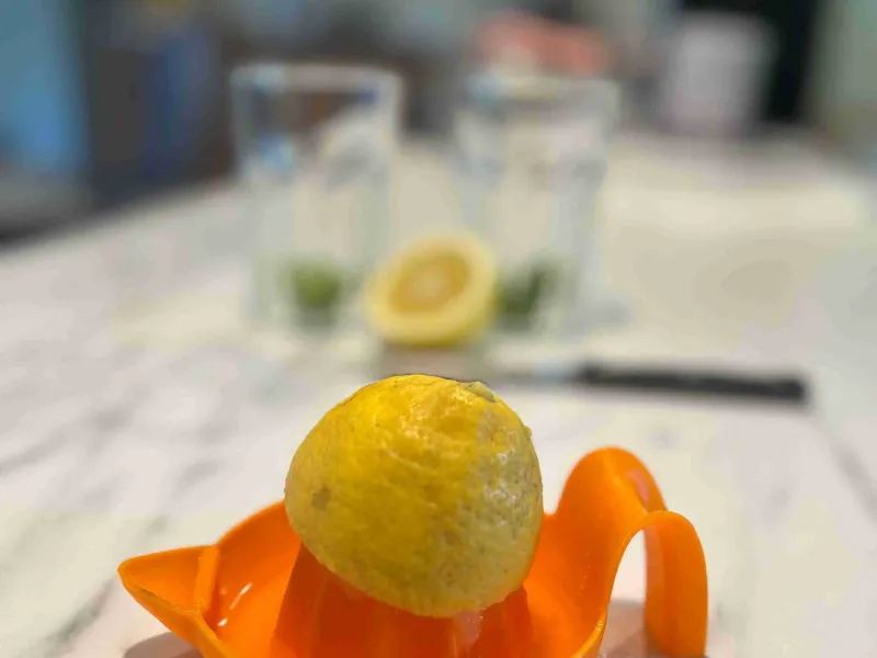 Citrus juicer