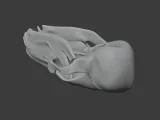 Black Bear Skull-2