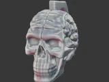 Skull with Exposed Brain 3D Print Model-0